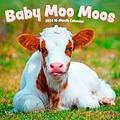 2024 BrownTrout Baby Moo Moos 12 x 12 Monthly Wall Calendar (9781975457785)