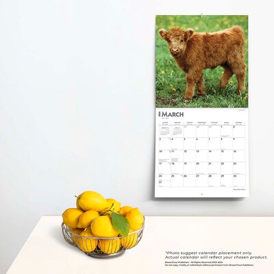 2024 BrownTrout Baby Moo Moos 12" x 12" Monthly Wall Calendar (9781975457785)