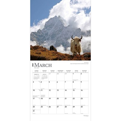 2024 BrownTrout Himalayas 12" x 12" Monthly Wall Calendar (9781975467517)