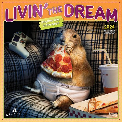 2024 BrownTrout Avanti Livin the Dream 12 x 12 Monthly Wall Calendar (9781975466565)