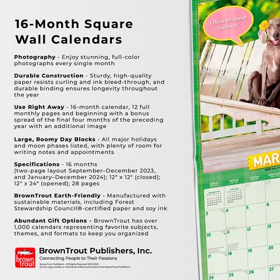 2024 BrownTrout Avanti Livin' the Dream 12" x 12" Monthly Wall Calendar (9781975466565)