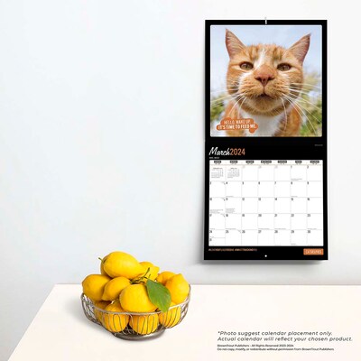 2024 BrownTrout Cat Selfies 12" x 12" Monthly Wall Calendar (9781975462215)