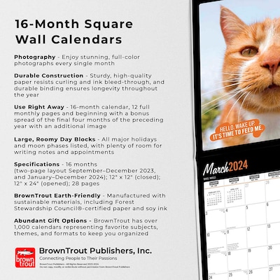 2024 BrownTrout Cat Selfies 12" x 12" Monthly Wall Calendar (9781975462215)