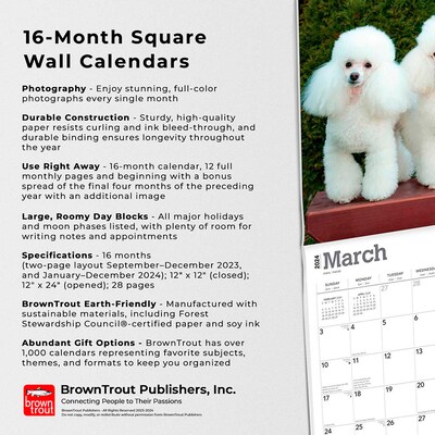 2024 BrownTrout Toy and Miniature Poodles 12" x 12" Monthly Wall Calendar (9781975467975)