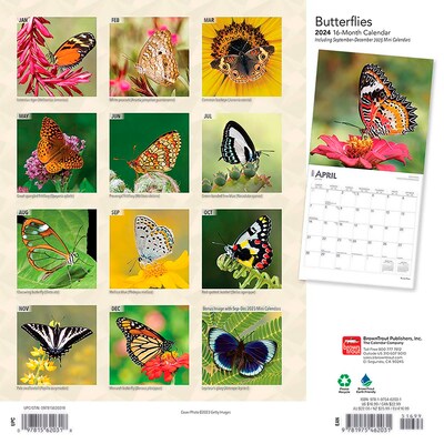 2024 BrownTrout Butterflies 12 x 12 Monthly Wall Calendar (9781975462031)