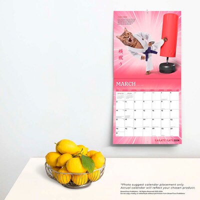 2024 BrownTrout Karate Cats 12" x 12" Monthly Wall Calendar (9781975466954)