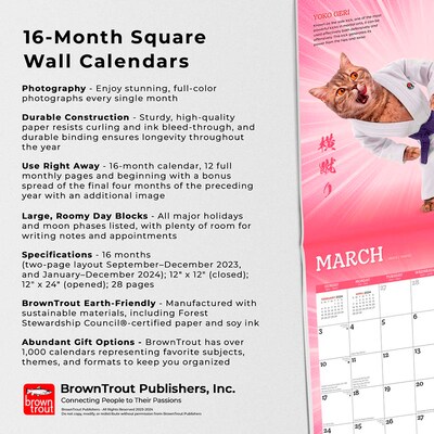 2024 BrownTrout Karate Cats 12" x 12" Monthly Wall Calendar (9781975466954)