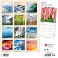 2024 BrownTrout Psalms 12 x 12 Monthly Wall Calendar (9781975464622)