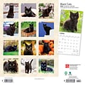 2024 BrownTrout Black Cats 12 x 12 Monthly Wall Calendar (9781975461805)