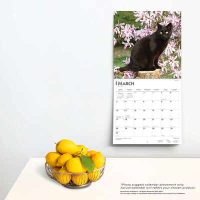 2024 BrownTrout Black Cats 12" x 12" Monthly Wall Calendar (9781975461805)