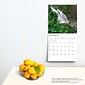 2024 BrownTrout Waterfalls 12" x 12" Monthly Wall Calendar (9781975465612)