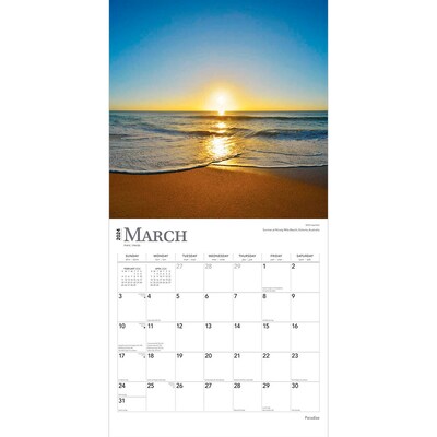 2024 BrownTrout Paradise 12" x 12" Monthly Wall Calendar (9781975464462)