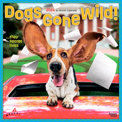 2024 BrownTrout Avanti Dogs Gone Wild 12 x 12 Monthly Wall Calendar (9781975466534)