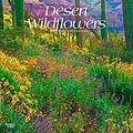 2024 BrownTrout Desert Wildflowers 12 x 12 Monthly Wall Calendar (9781975467241)