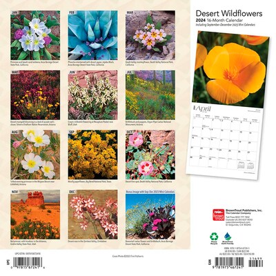 2024 BrownTrout Desert Wildflowers 12" x 12" Monthly Wall Calendar (9781975467241)