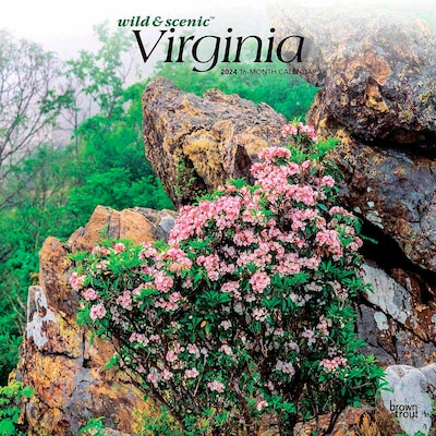 2024 BrownTrout Virginia Wild & Scenic 12 x 12 Monthly Wall Calendar (9781975465568)
