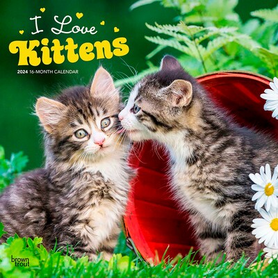 2024 BrownTrout I Love Kittens 12 x 12 Monthly Wall Calendar (9781975463489)