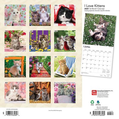 2024 BrownTrout I Love Kittens 12" x 12" Monthly Wall Calendar (9781975463489)