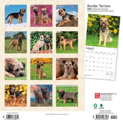 2024 BrownTrout Border Terriers 12 x 12 Monthly Wall Calendar (9781975467807)