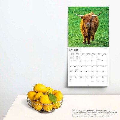 2024 BrownTrout Cows 12" x 12" Monthly Wall Calendar (9781975462499)