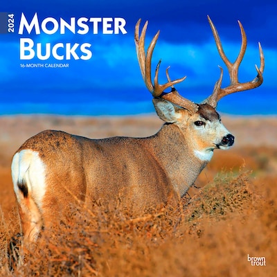2024 BrownTrout Monster Bucks 12 x 12 Monthly Wall Calendar (9781975464073)