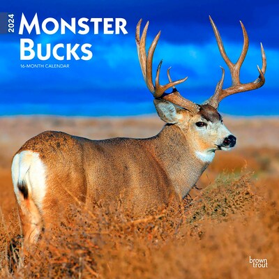 2024 BrownTrout Monster Bucks 12 x 12 Monthly Wall Calendar (9781975464073)