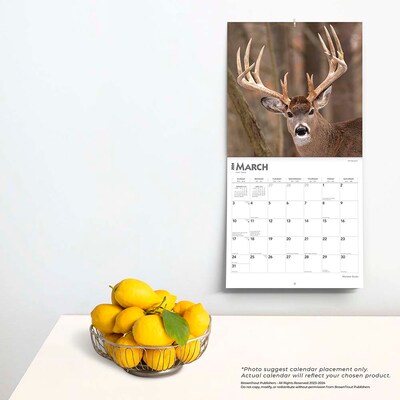 2024 BrownTrout Monster Bucks 12" x 12" Monthly Wall Calendar (9781975464073)