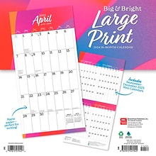 2024 BrownTrout Big & Bright Large Print Matte 12 x 12 Monthly Wall Calendar (9781975457945)