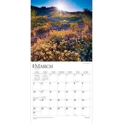 2024 BrownTrout Motivation 12" x 12" Monthly Wall Calendar (9781975464103)