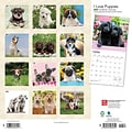 2024 BrownTrout I Love Puppies 12 x 12 Monthly Wall Calendar (9781975464721)