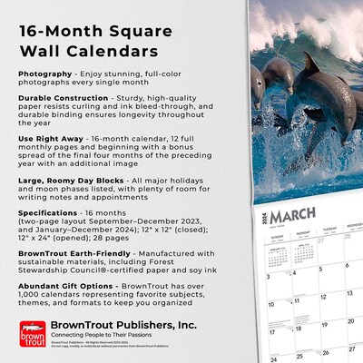 2024 BrownTrout Dolphins 12" x 12" Monthly Wall Calendar (9781975467739)