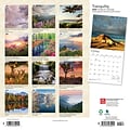 2024 BrownTrout Tranquility 12 x 12 Monthly Wall Calendar (9781975465421)