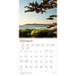 2024 BrownTrout Tranquility 12" x 12" Monthly Wall Calendar (9781975465421)
