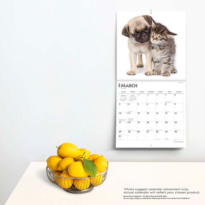 2024 BrownTrout Kittens & Puppies 12" x 12" Monthly Wall Calendar (9781975463465)