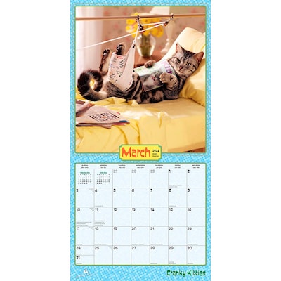 2024 BrownTrout Avanti Cranky Kitties 12" x 12" Monthly Wall Calendar (9781975466503)
