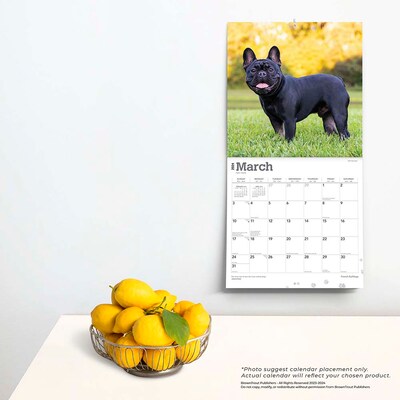 2024 BrownTrout French Bulldogs 12" x 12" Monthly Wall Calendar (9781975462758)