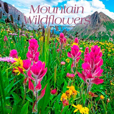 2024 BrownTrout Mountain Wildflowers 12 x 12 Monthly Wall Calendar (9781975467272)