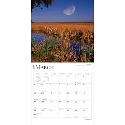 2024 BrownTrout Moonstruck 12" x 12" Monthly Wall Calendar (9781975464097)