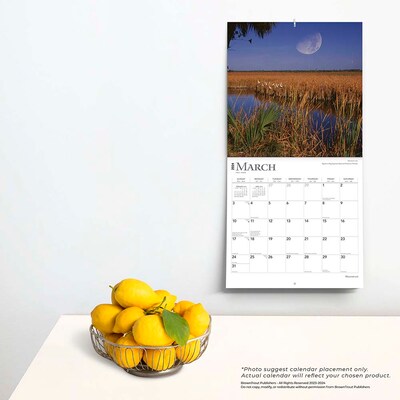 2024 BrownTrout Moonstruck 12" x 12" Monthly Wall Calendar (9781975464097)