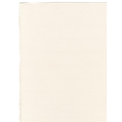 Legion Paper Hosho Printmaking Paper 19 in. x 24 in. professional grade [Pack of 10](PK10-J51HOSWHK1924)