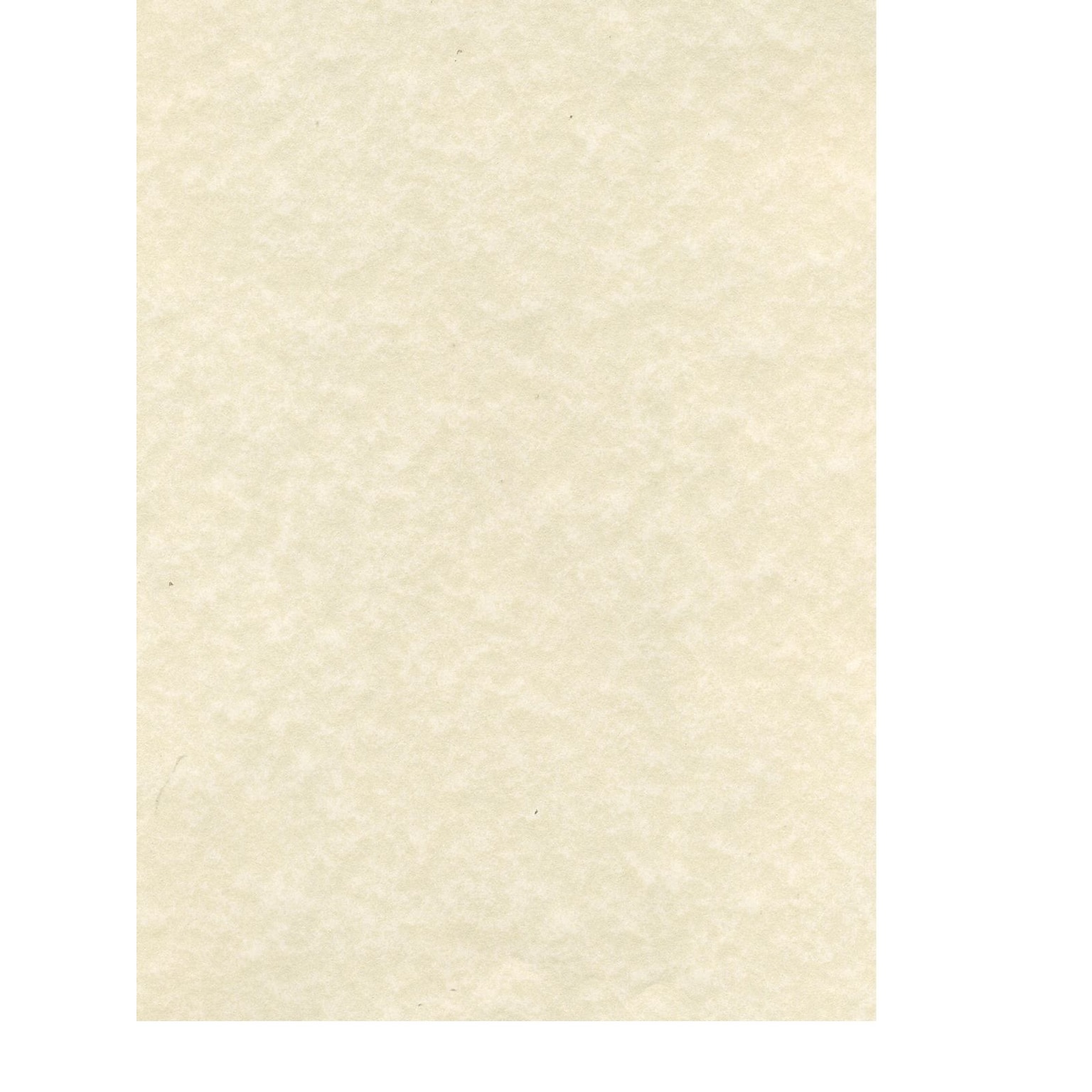 Canson Classic Cream Drawing Paper Sheets 18 in. x 24 in. [Pack of 10](PK10-100511131)