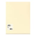 Arches Rives Heavyweight Paper buff 19 in. x 26 in. [Pack of 10](PK10-1795139)