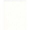 Fabriano Artistico Watercolor Paper extra white 140 lb. cold press 22 in. x 30 in. [Pack of 10](PK10-71-61910079)