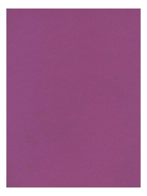 Canson Mi-Teintes Tinted Paper violet 8.5 in. x 11 in. [Pack of 25](PK25-100511321)