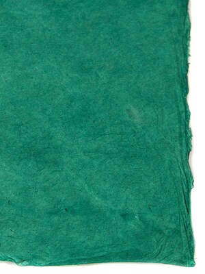 Graeham Owens Lokta Paper rain forest 20 in. x 30 in. 20 g [Pack of 10](PK10-GO-LTRAI)