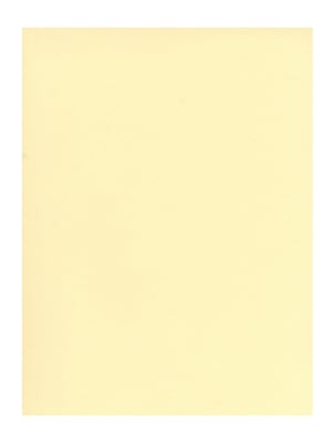 Canson Mi-Teintes Tinted Paper pale yellow 19 in. x 25 in. [Pack of 10](PK10-100511217)