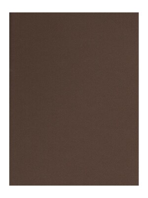 Canson Mi-Teintes Tinted Paper tobacco 19 in. x 25 in. [Pack of 10](PK10-100511255)