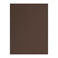 Canson Mi-Teintes Tinted Paper tobacco 19 in. x 25 in. [Pack of 10](PK10-100511255)