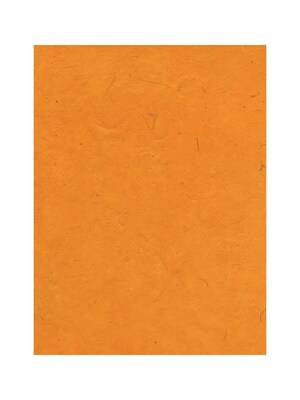 Graeham Owens Lokta Paper buttercup 20 in. x 30 in. 20 g [Pack of 10](PK10-GO-LTBCP)