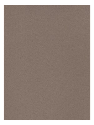 Canson Mi-Teintes Tinted Paper felt gray 19 in. x 25 in. [Pack of 10](PK10-100511245)